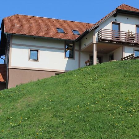 Vdovic Guest House Svecina Buitenkant foto