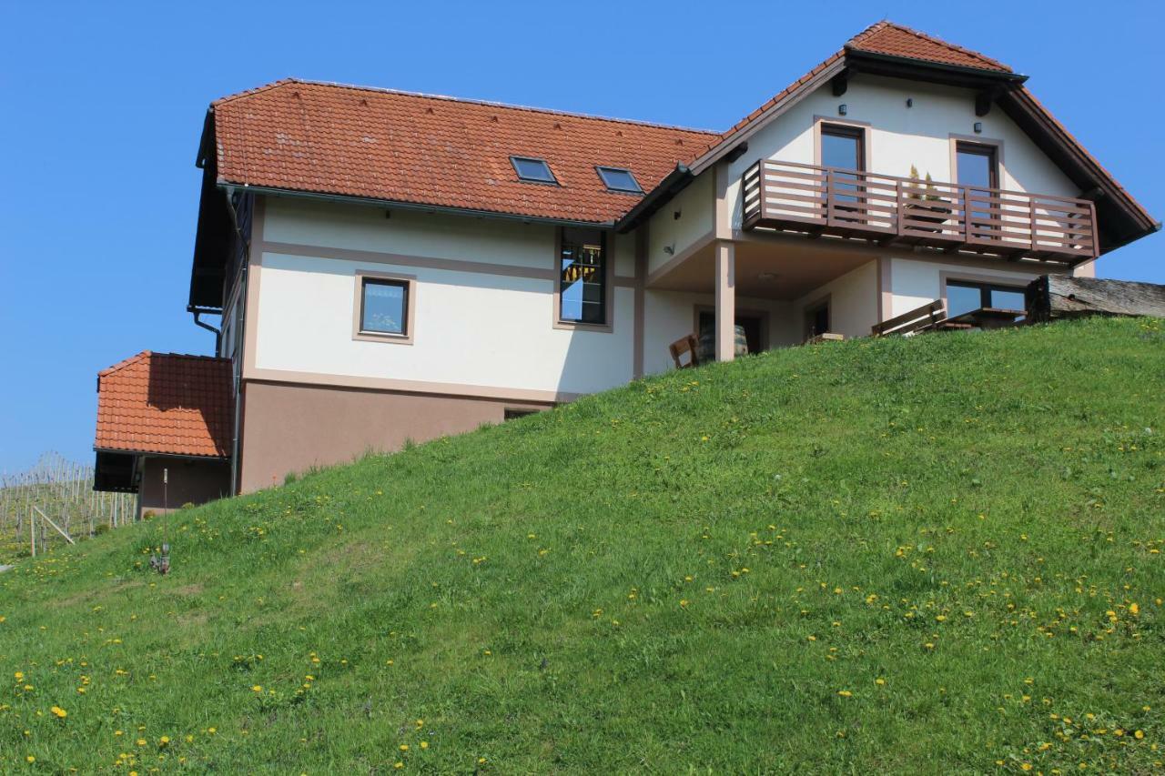 Vdovic Guest House Svecina Buitenkant foto